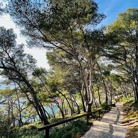 Superbe Studio Vue Mer - Plage, Piscine Et Tennis Prive Lägenhet *