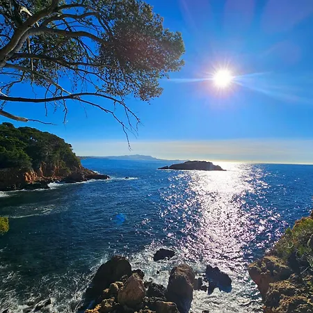 Superbe Studio Vue Mer - Plage, Piscine Et Tennis Prive Appartement *