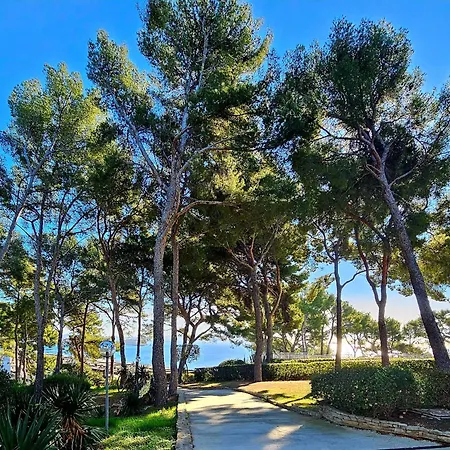 Superbe Studio Vue Mer - Plage, Piscine Et Tennis Prive *